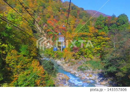 秋の苗場ドラゴンドラ（新潟県湯沢町） 143357806