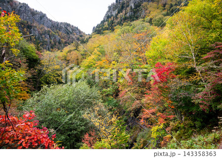 カラフルな層雲峡の紅葉 カラフルな層雲峡の紅葉 143358363