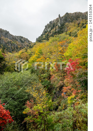 カラフルな層雲峡の紅葉 143358364