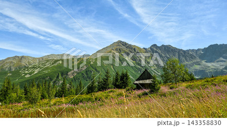 Blooming fireweed in Gasienicowa Valley, Tatras. Concept of summer hiking, wildflower season, mountain escape, ecotourism, Poland trip. Blooming fireweed in Gasienicowa Valley, Tatras. Concept of summer hiking, wildflower season, mountain escape, ecotourism, Poland trip. 143358830