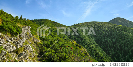 Mountain ridge with rocks, dwarf pine and spruce forest in Tatras on way to Hala Gasienicowa. Concept of active recreation, hiking, mountain tourism, adventure Mountain ridge with rocks, dwarf pine and spruce forest in Tatras on way to Hala Gasienicowa. Concept of active recreation, hiking, mountain tourism, adventure 143358835