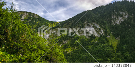 Rock formations on Tatra mountain slope covered with spruce and pine forest under cloudy sky. Concept of mountain hiking, wilderness, geology, ecotourism, Poland travel Rock formations on Tatra mountain slope covered with spruce and pine forest under cloudy sky. Concept of mountain hiking, wilderness, geology, ecotourism, Poland travel 143358848