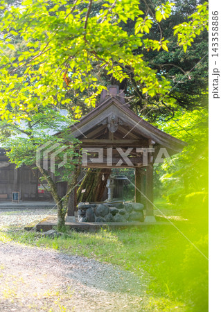 打吹公園の新緑・初夏の風景 倉吉市 打吹公園の新緑・初夏の風景 倉吉市 143358886