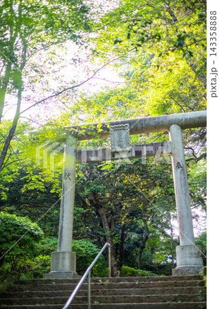 打吹公園の新緑・初夏の風景 倉吉市 打吹公園の新緑・初夏の風景 倉吉市 143358888