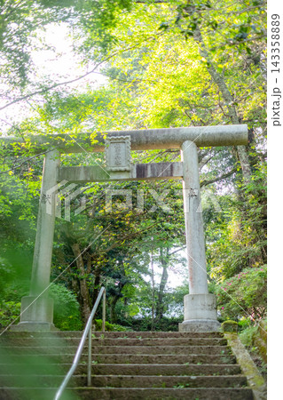 打吹公園の新緑・初夏の風景 倉吉市 打吹公園の新緑・初夏の風景 倉吉市 143358889