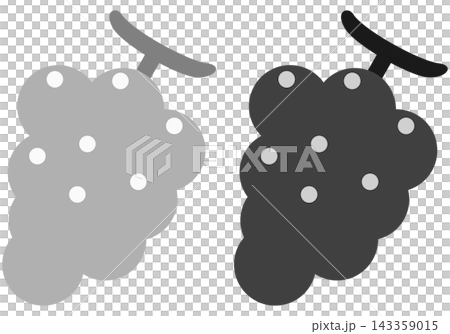 葡萄圖示插畫集 / 秋季風味和水果插畫素材 143359015