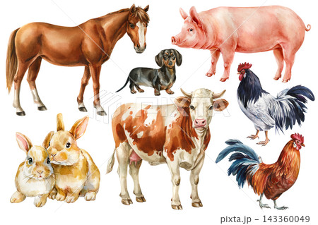 Farm Animals Watercolor Set with Horse Cow Pig Rabbits Roosters and Dachshund Isolated on White Background for Nursery Design Farm Animals Watercolor Set with Horse Cow Pig Rabbits Roosters and Dachshund Isolated on White Background for Nursery Design 143360049