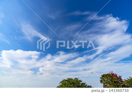 夏の青空と雲と樹木 夏の青空と雲と樹木 143360730