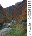 新潟県・越後湯沢の山肌を彩る紅葉と渓谷を流れる清流 143361136