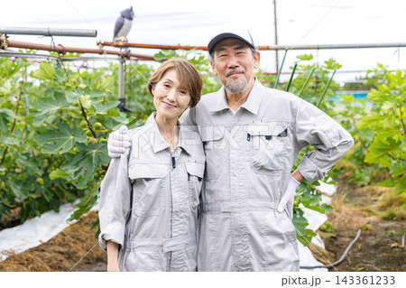 果物を収穫するシニア夫婦 果物を収穫するシニア夫婦 143361233