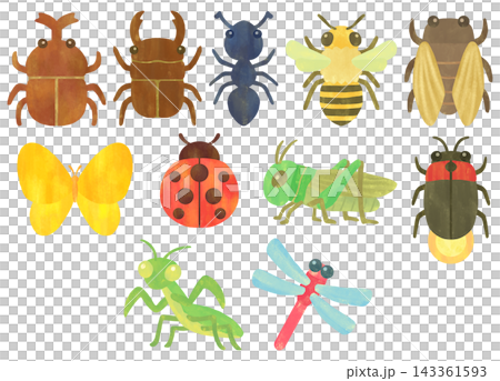 一組簡單可愛的昆蟲插圖 一組簡單可愛的昆蟲插圖 143361593