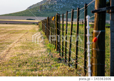 Wooden wire fence along a rural field with hills Wooden wire fence along a rural field with hills 143361606
