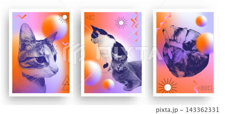 Set of cats with a halftone effect in retro grainy gradient background vector illustration 143362331