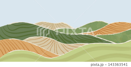 Field Tea Curved Plantation Rows Field Tea Curved Plantation Rows 143363541