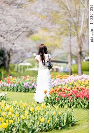 《春の人物素材》花を観賞する若い女性 《春の人物素材》花を観賞する若い女性 143364053