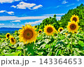 夏の風物詩 143364653