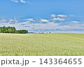 夏の風物詩 143364655