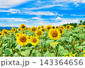 夏の風物詩 143364656