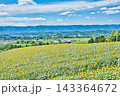 夏の風物詩 143364672