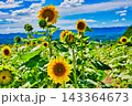 夏の風物詩 143364673
