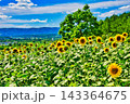 夏の風物詩 143364675