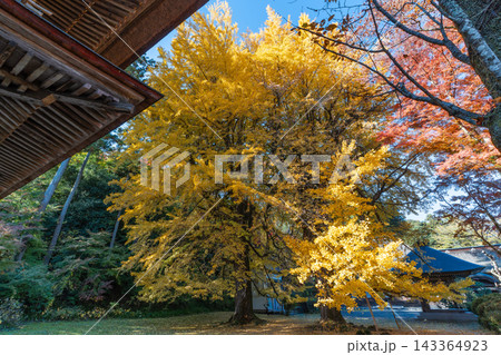 紅葉に包まれた広徳寺 紅葉に包まれた広徳寺 143364923