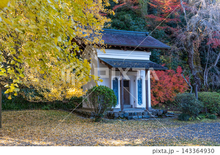 紅葉に包まれた広徳寺 紅葉に包まれた広徳寺 143364930