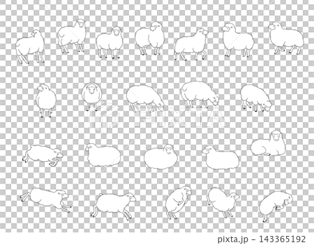 A set of monochrome line art illustrations of fluffy sheep in various poses. A set of monochrome line art illustrations of fluffy sheep in various poses. 143365192