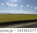埼玉県加須市の秋の田園風景と青空 143365277