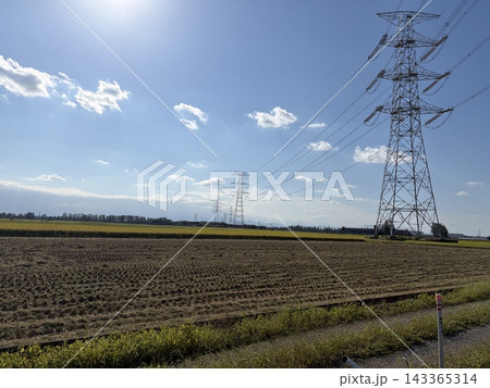 埼玉県加須市の田園地帯と送電鉄塔 埼玉県加須市の田園地帯と送電鉄塔 143365314
