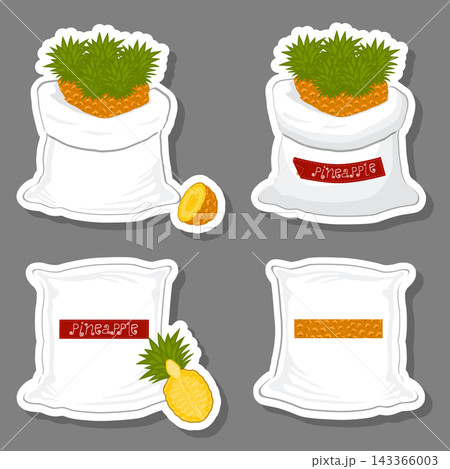 Illustration on theme big set different types pineapple Illustration on theme big set different types pineapple 143366003