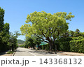 西宮市　学園花通りの上甲東園バス停 143368132