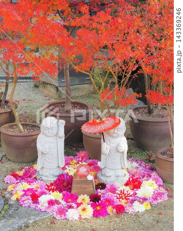 奈良県　岡寺のお地蔵さんともみじアート　11月 143369246