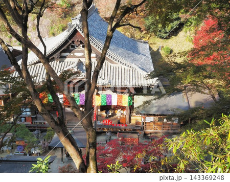 奈良県　紅葉の岡寺　本堂　11月 143369248