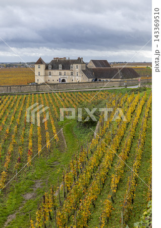 Chateau de Vougeot overlooking autumn vineyards in Burgundy Chateau de Vougeot overlooking autumn vineyards in Burgundy 143369510