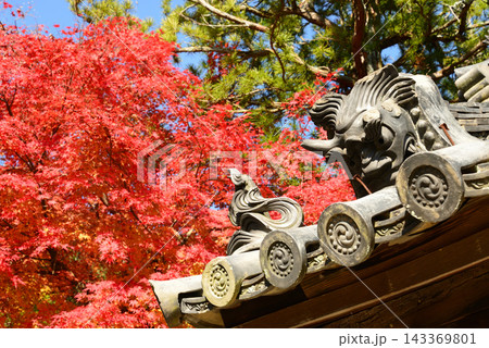 奈良県大和郡山市矢田寺 秋の盛りの鬼瓦は紅葉の火を吹く 奈良県大和郡山市矢田寺 秋の盛りの鬼瓦は紅葉の火を吹く 143369801