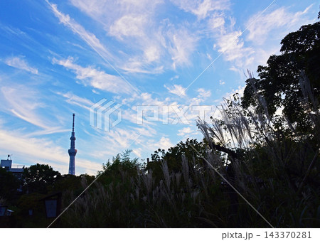 夕雲走る 夕雲走る 143370281