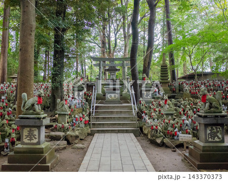 新緑に包まれた神社の境内 143370373