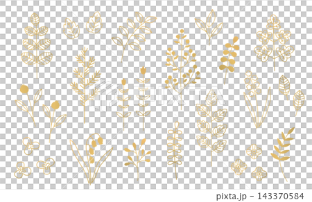 植物插圖套裝,向量圖,包含葉子、鈴蘭、果實、花朵、裝飾、背景、飾品、邊框、基本款 植物插圖套裝,向量圖,包含葉子、鈴蘭、果實、花朵、裝飾、背景、飾品、邊框、基本款 143370584