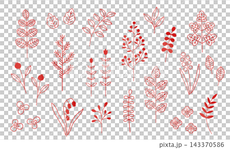 植物插圖套裝，向量圖，包含葉子、鈴蘭、果實、花朵、裝飾、背景、飾品、邊框、基本款 143370586