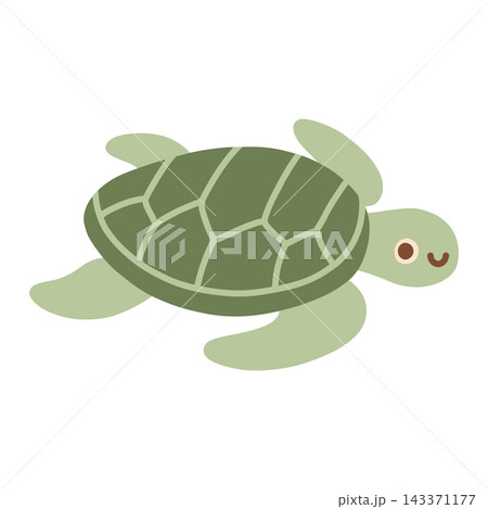 Cute green sea turtle character vector illustration. Cute ocean animal swimming isolated on white background for kids nursery decor, stickers, and educational graphics Cute green sea turtle character vector illustration. Cute ocean animal swimming isolated on white background for kids nursery decor, stickers, and educational graphics 143371177