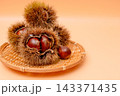 秋の味覚の栗の素材写真　イガグリの棘が栗の実を守っている 143371435