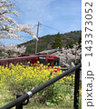 桜と菜の花と赤い列車 143373052