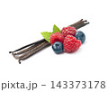 Vanilla pods with berry on white backgrounds 143373178