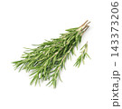 Rosemary herbs on white backgrounds 143373206
