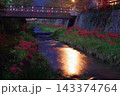 ワインレッドの誘惑に誘われる夜の一の坂川 143374764