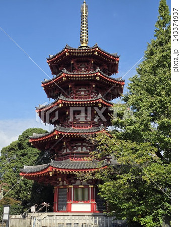 青空に映える川崎大師の美しい五重塔 青空に映える川崎大師の美しい五重塔 143374937