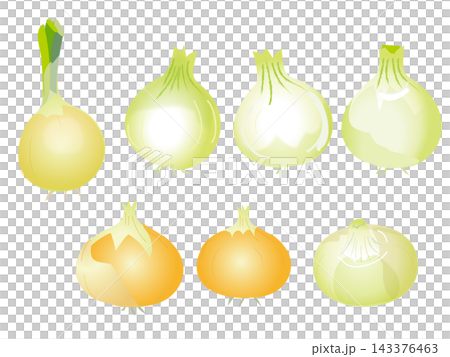 新鮮な玉ねぎの手描き風イラストセット(サラダ野菜シリーズ) 新鮮な玉ねぎの手描き風イラストセット(サラダ野菜シリーズ) 143376463