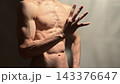 ⁠引き締まった腹筋と胸筋を持つ細マッチョな男性のパーツ写真⁠ 143376647