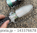 アオリイカ　締め方　締めた後胴体が透明（白く）になりました 143376678